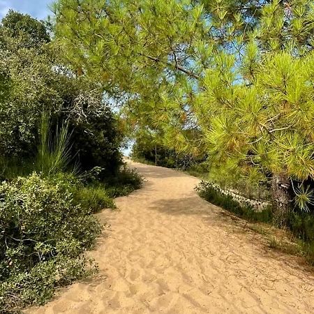 Appart' Islande Le Chateau-d'Oleron Luaran gambar